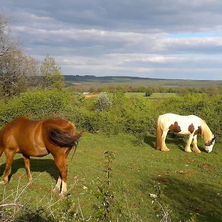 Maison De Bois En Pleine Nature A 20 Min De Beaune Montceau-et-Echarnant Екстериор снимка
