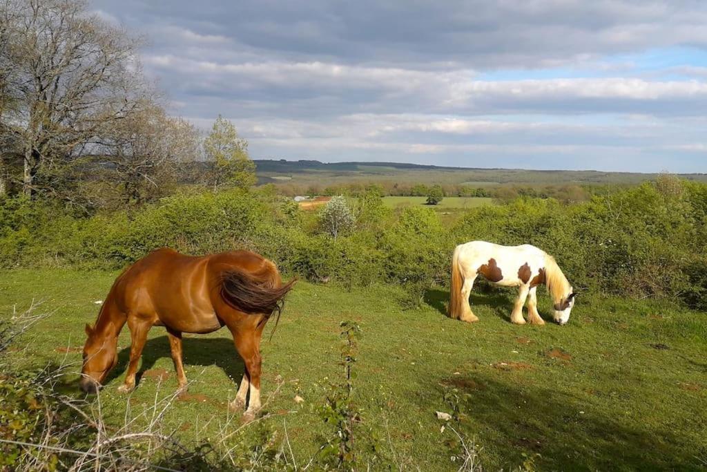Maison De Bois En Pleine Nature A 20 Min De Beaune Montceau-et-Echarnant Екстериор снимка